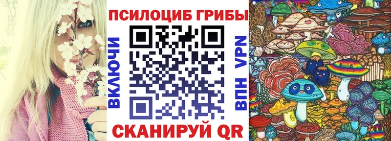 Псилоцибиновые грибы прущие грибы  Купить где  Зерноград 